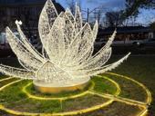 Сниму дом 5-6 комнат 