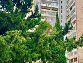 3 - К. КВАРТИРА С ВИДОМ НА МОРЕ И ГОРЫ В СУХУМЕ 