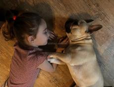 Французики