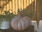 Сдается в аренду гостиница на 12 номеров 