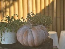 Сдается в аренду гостиница на 12 номеров 