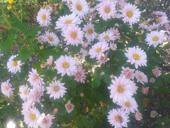 В поисках работы 