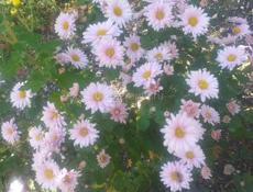 В поисках работы 