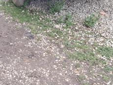 Прицеп для мотоблока