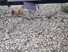 Прицеп для мотоблока