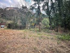 Сухум Синоп 8 соток цена снижена