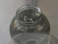 Чача домашняя 