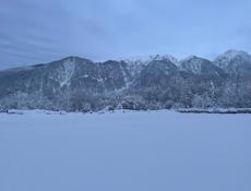 Мёд с с.Псху