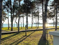 Сниму квартиру 