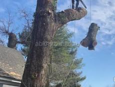 СПИЛ аварийных ДЕРЕВЬЕВ 