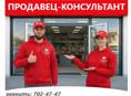 Продавец-консультант