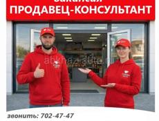 Продавец-консультант