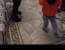 Продаётся палас в хорошем состоянии размер 2 на 3