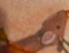 Срочно продам квартиру в рассрочку кемпинг