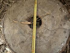 Продажа мельницы 