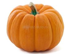 Куплю тыквы (много) 