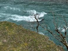 Село Алахадзы 12 соток земли 