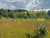 Обмен продажа 