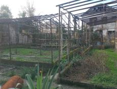 Продаётся уютный двухэтажный дом в сердце Абхазии!