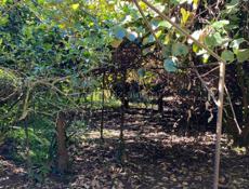 Участок 18соток