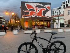 Велосипед HotWolf