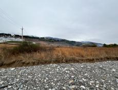 Бзыбь , сзади магнат