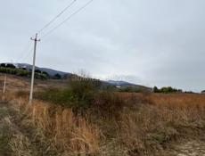 Бзыбь , сзади магнат