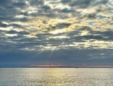 Сниму комнату 