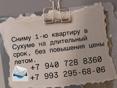 Сниму 1-ю квартиру длительно 