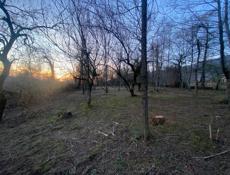 Участо в Гудаутском районе 