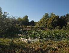 Продам участок с домом