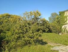 Продам участок с домом