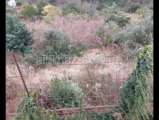 На против Сухумского вокзала