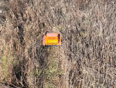 Расчистка участков