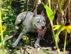 Ищем жениха