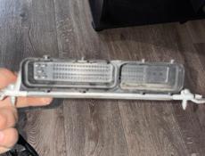 Мозги Приора