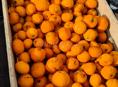 Мандарины на сок