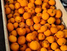 Мандарины на сок