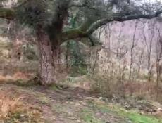 ОБМЕН УЧАСТОК на АВТО 🔥👌