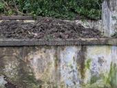 Ищу квартиру от 1 до 2-х авитаров 