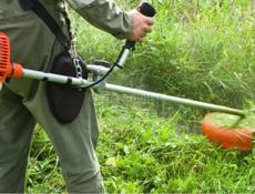 Покос травы по всей Абхазии 