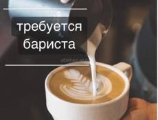Требуется бариста 