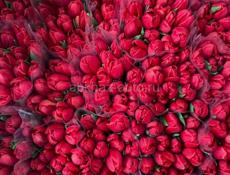 Тюльпаны 🌷💐