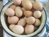 Домашние крупные яицы. 