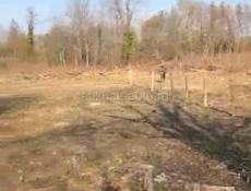 Участок срочно