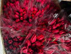 Тюльпаны 60см 