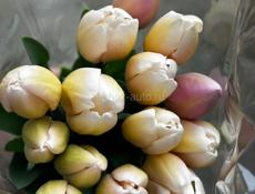 Тюльпаны 60см 