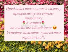 Тюльпаны 60см 