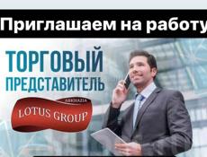 Требуется торговый представитель 