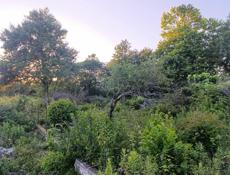 Продается участок в с. Кындыг